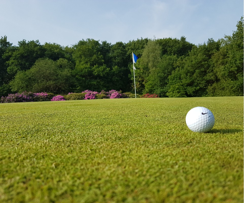 Noordganguitje: Noordgangen op de Green