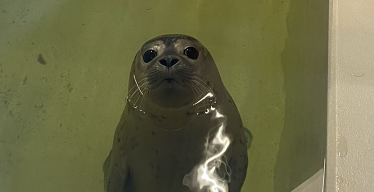 Afb 4: Noordgangenuitje 2025: Een inspirerende middag aan het Wad