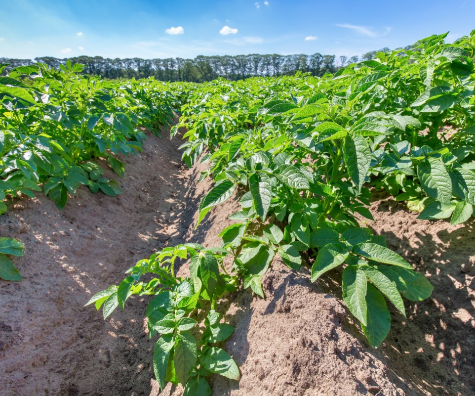 Afbeelding: Bijeenkomst van de Food Community bij Fascinating Groningen